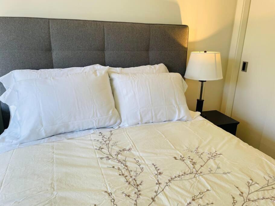 Spacious Downtown 2 Bedroom Condo With Pool And Air Conditioning Victoria Exteriér fotografie