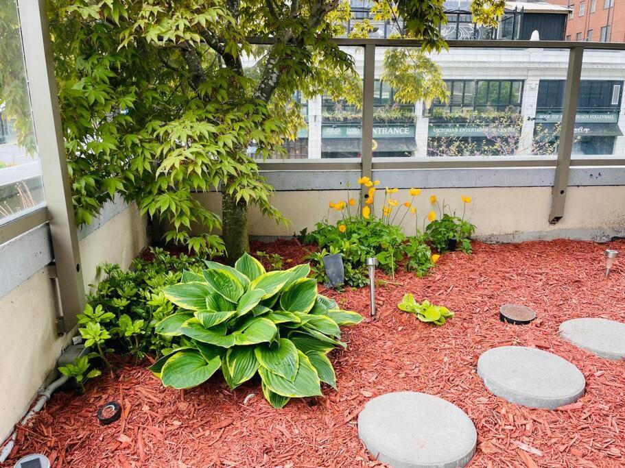 Spacious Downtown 2 Bedroom Condo With Pool And Air Conditioning Victoria Exteriér fotografie